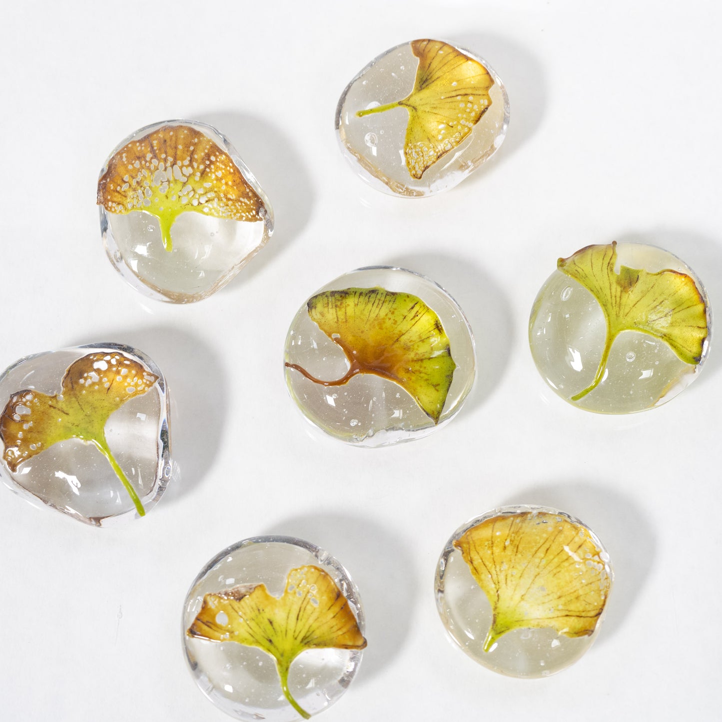 Bon cadeau Secret Garden pour la boutique en ligne